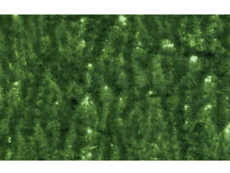 Defectos de impresión flexográfica de imagen moteada